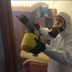 Уничтожение клопов в квартире. Анапа